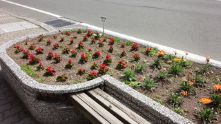 IMG_20150619_091916.jpg
