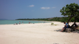 IMG_20160401_124922.jpg