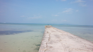 IMG_20160402_092630.jpg