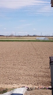IMG_20160501_121637.jpg