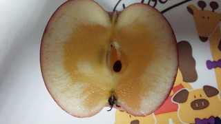 IMG_20161203_204109.jpg