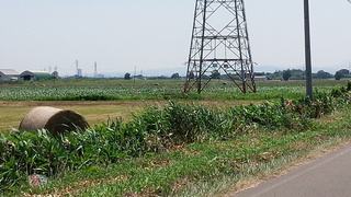 IMG_20170708_121445.jpg