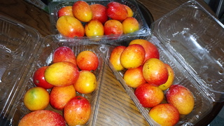 IMG_20170714_154724.jpg