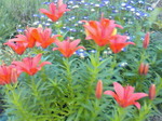 201006271859000.jpg