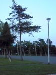 月