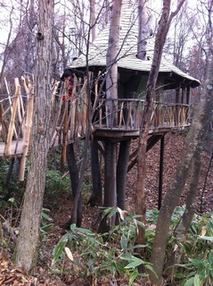 2012-11-15 13.23.55.jpg