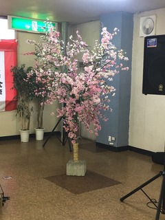 6D89906D-0CC6-4EA0-9EE5-DBCEB926C1A2.jpeg