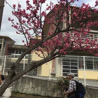 91925777-3D21-4351-ADDB-5133B49D6679.jpeg