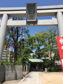 D421339C-D337-4604-8755-FEA1811DB170.jpeg