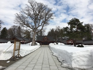 D909E4C8-35AB-4CC5-BFFC-8993F886C940.jpeg