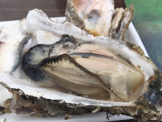 image-537b0.jpg