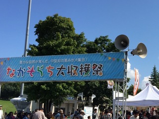 image-a211e.jpg