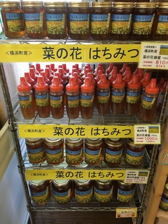 image-b47d1.jpeg
